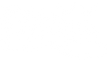 Bull Kings